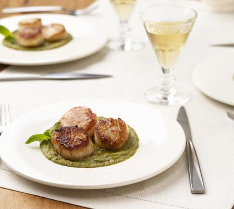 Roasted Diver Scallops Over Pea Puree