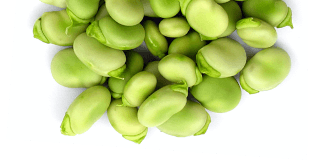 Did you know that Lima Beans are amongst the last of our vegetables to start planting season each year?