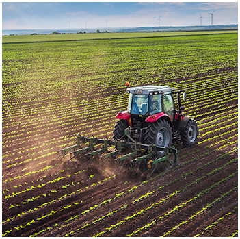 tractor in a field